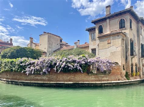 weather venice gardens